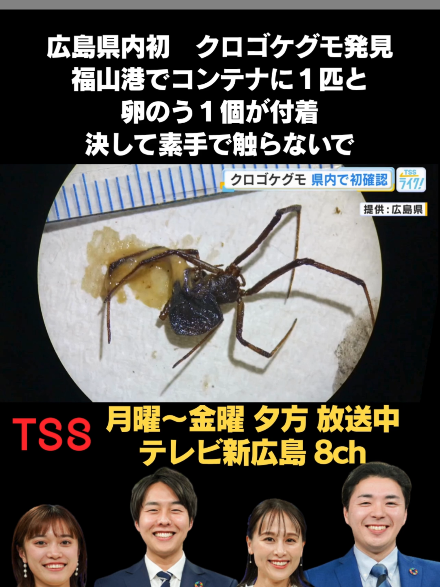 @テレビ新広島公式TikTok