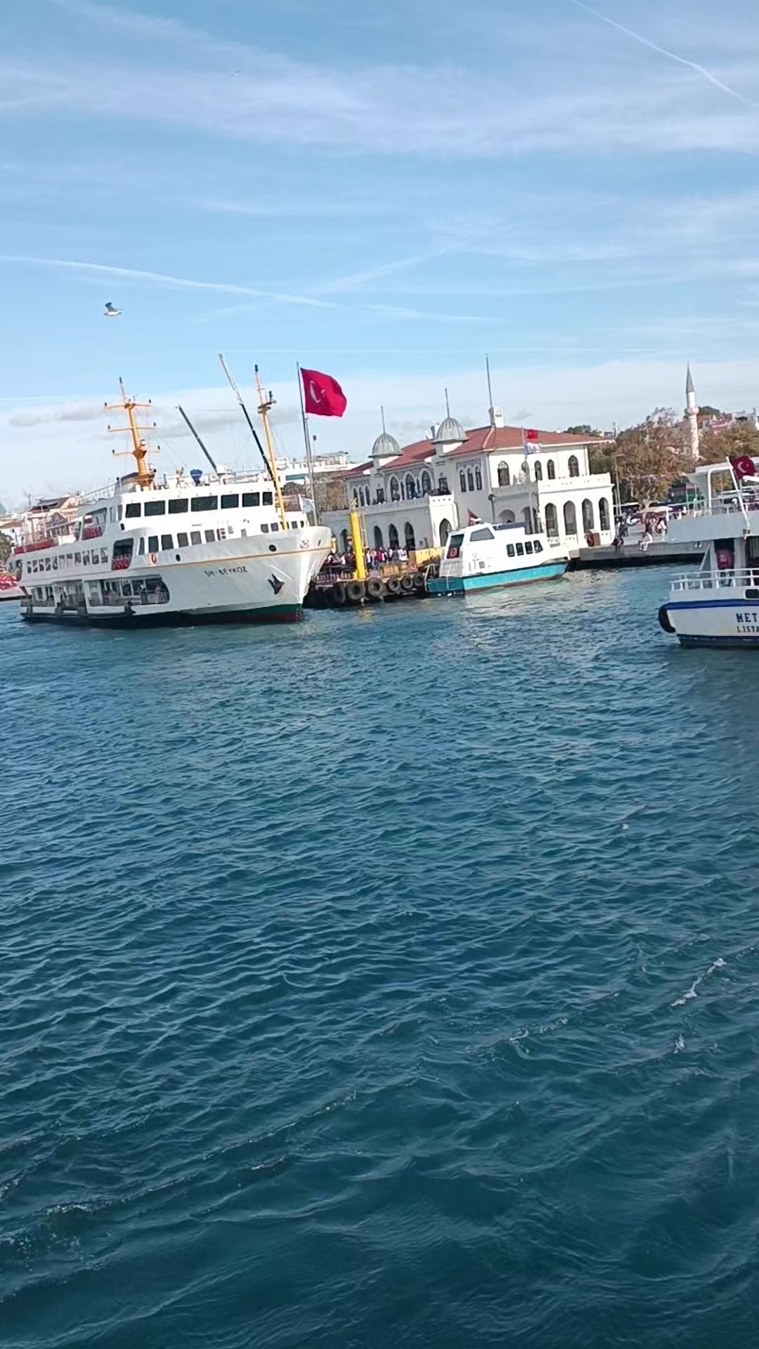 @Gul Yakut563