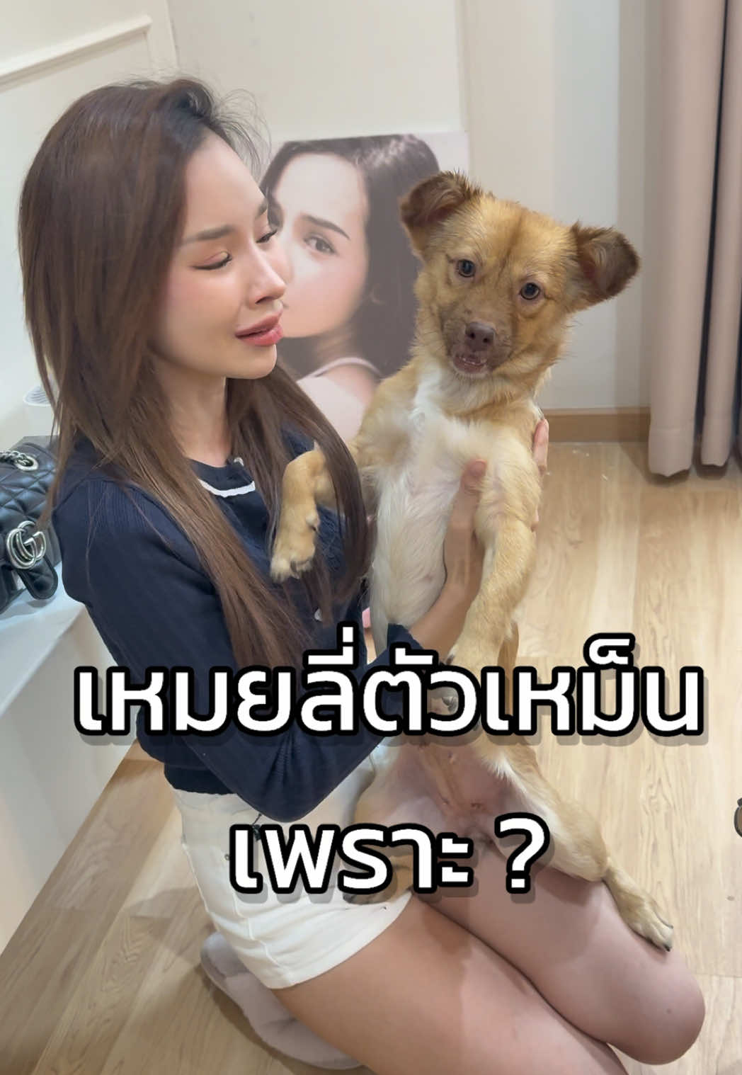 @ฟ้าบาร์บี้ช่องจริง