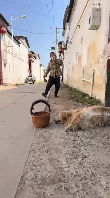 @Funny