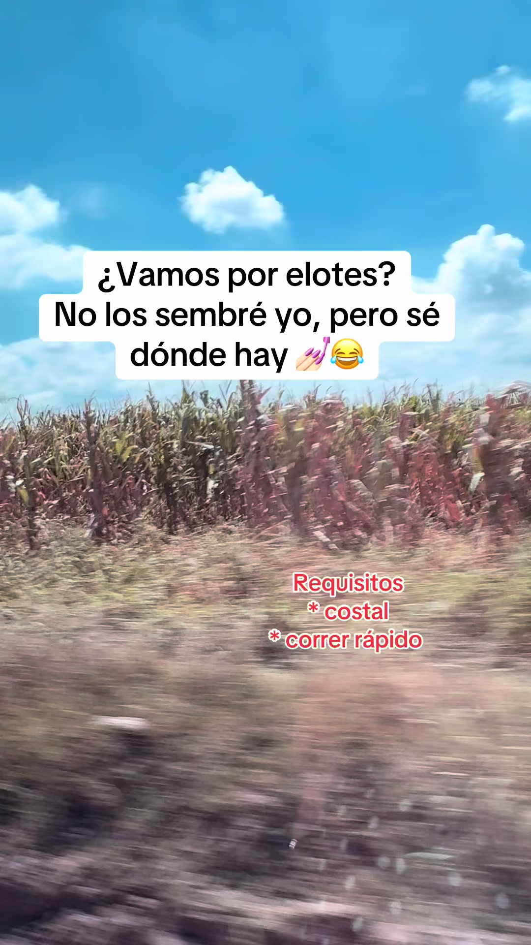 @Lic. Mayra Rocha