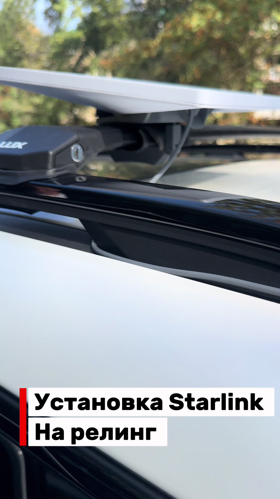 @avs24.internet