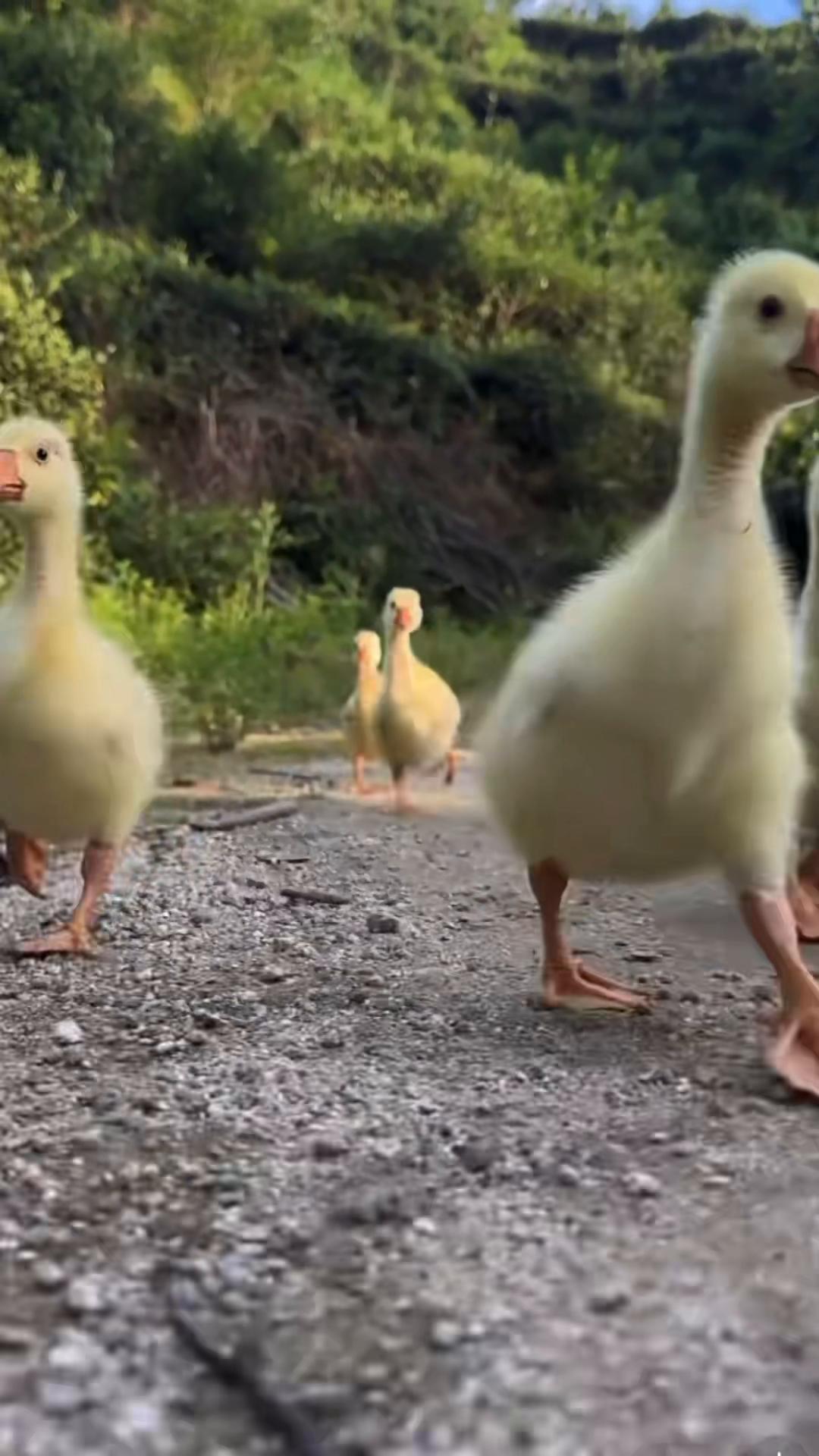 @My Daily Dose of Aww