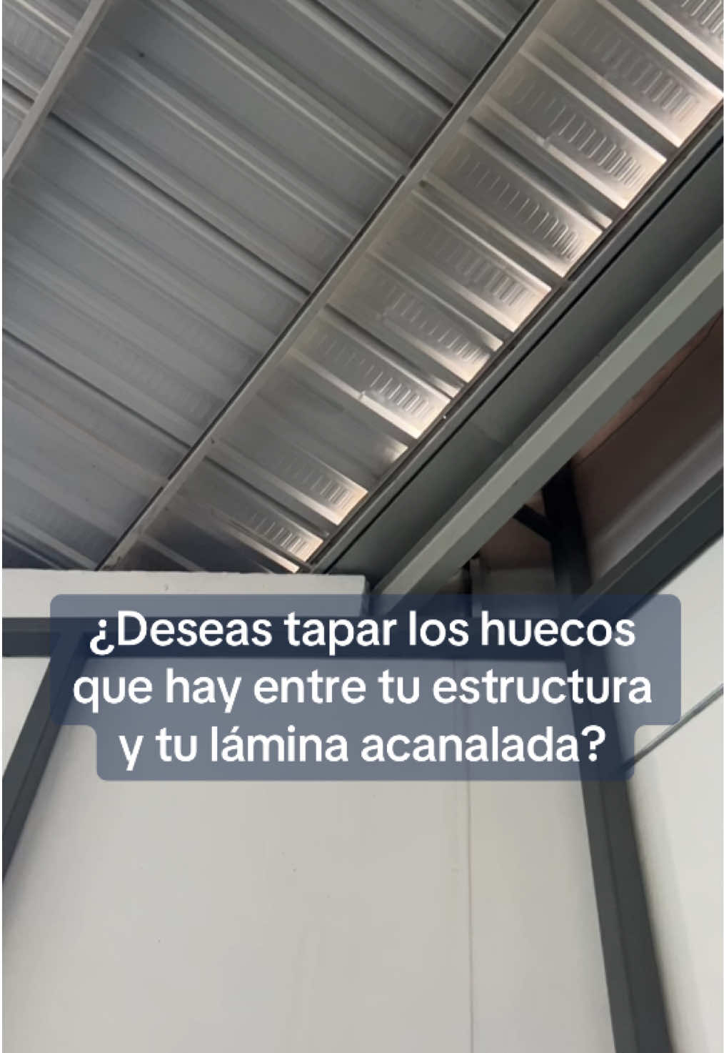 @PolicasaQro