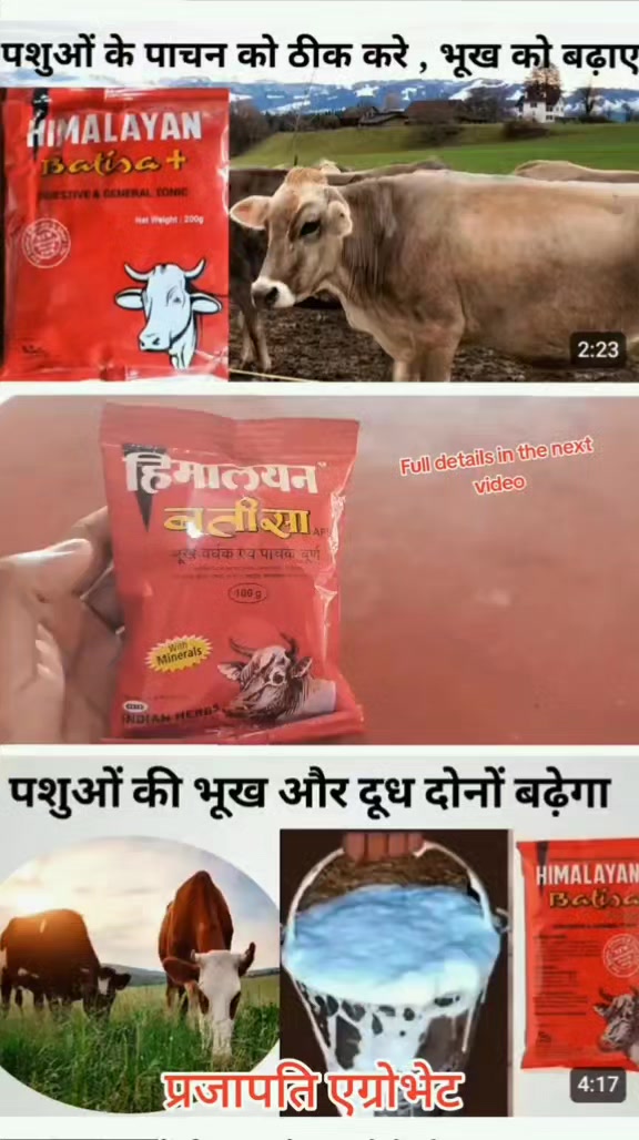 @Prajapati Agro Vet