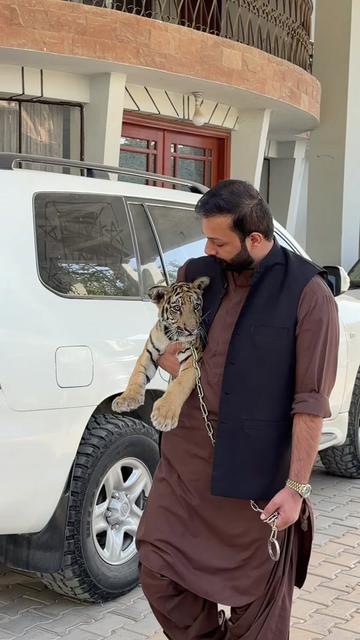 @Arsal Mohammad Shahi☠️