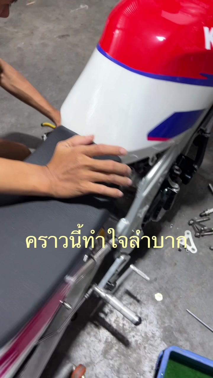 @เจ๋ง ปลาทู