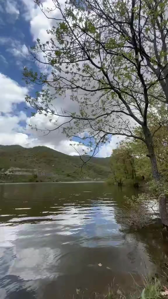 @Basoglu