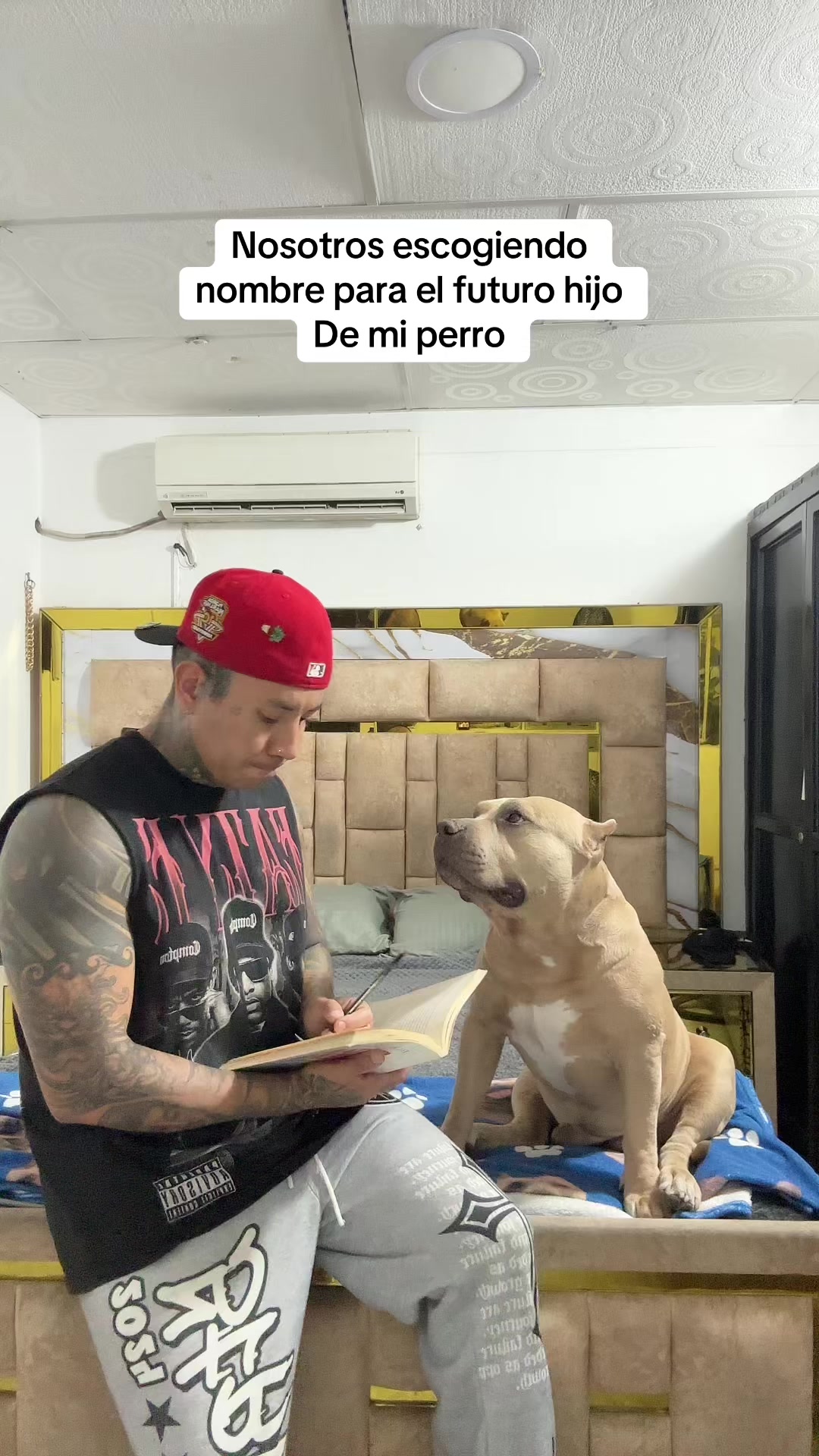 @Vikingo606