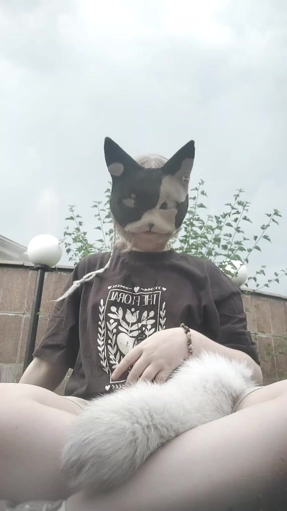 @★🍃°•_𖦹🐾𝓓𝓲𝓴𝓼𝓲🐚𖦹_•°🍃★