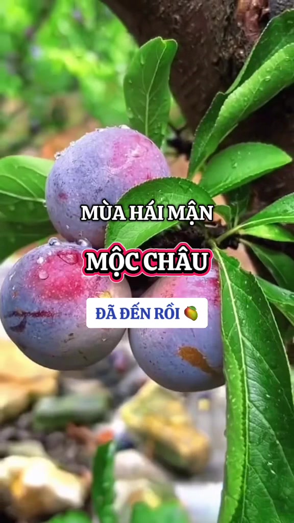 @Checkin Hà Nội