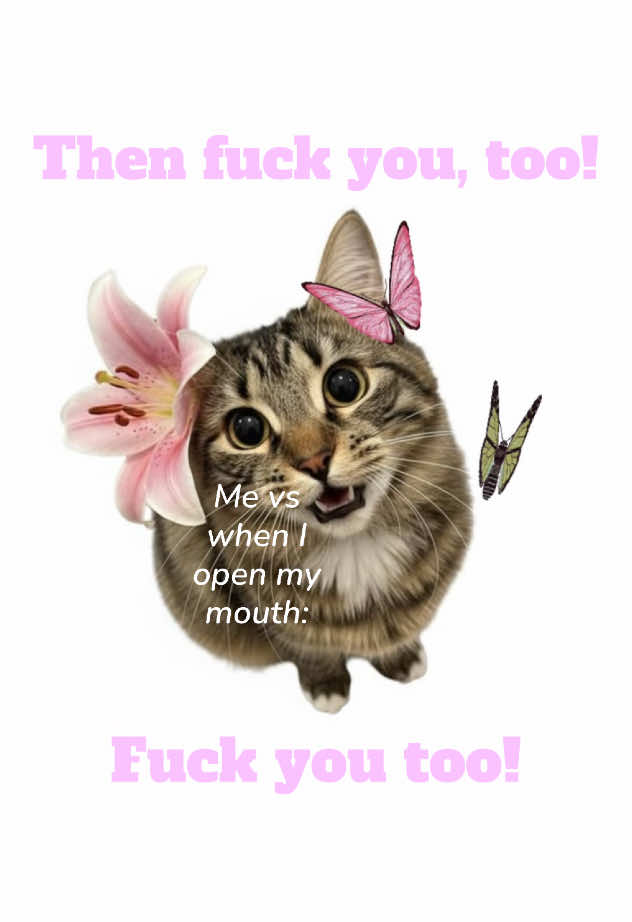 @๐โด๐๐๐ ๐ถ๐๐โฏ๐ ห๐ชท๐ชฝ๏ฝกโ