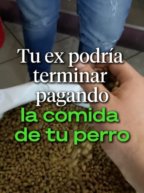 @Ahora Entiendo