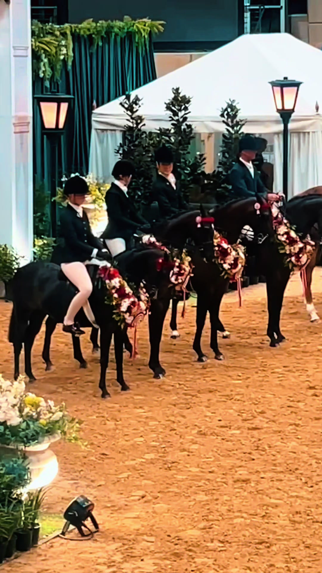 @RV Park Show Ponies