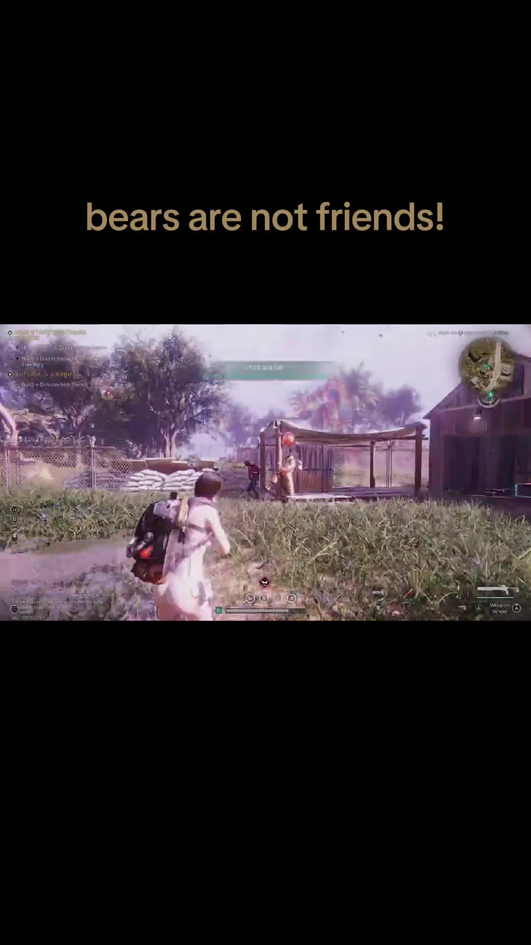 @guntherizem