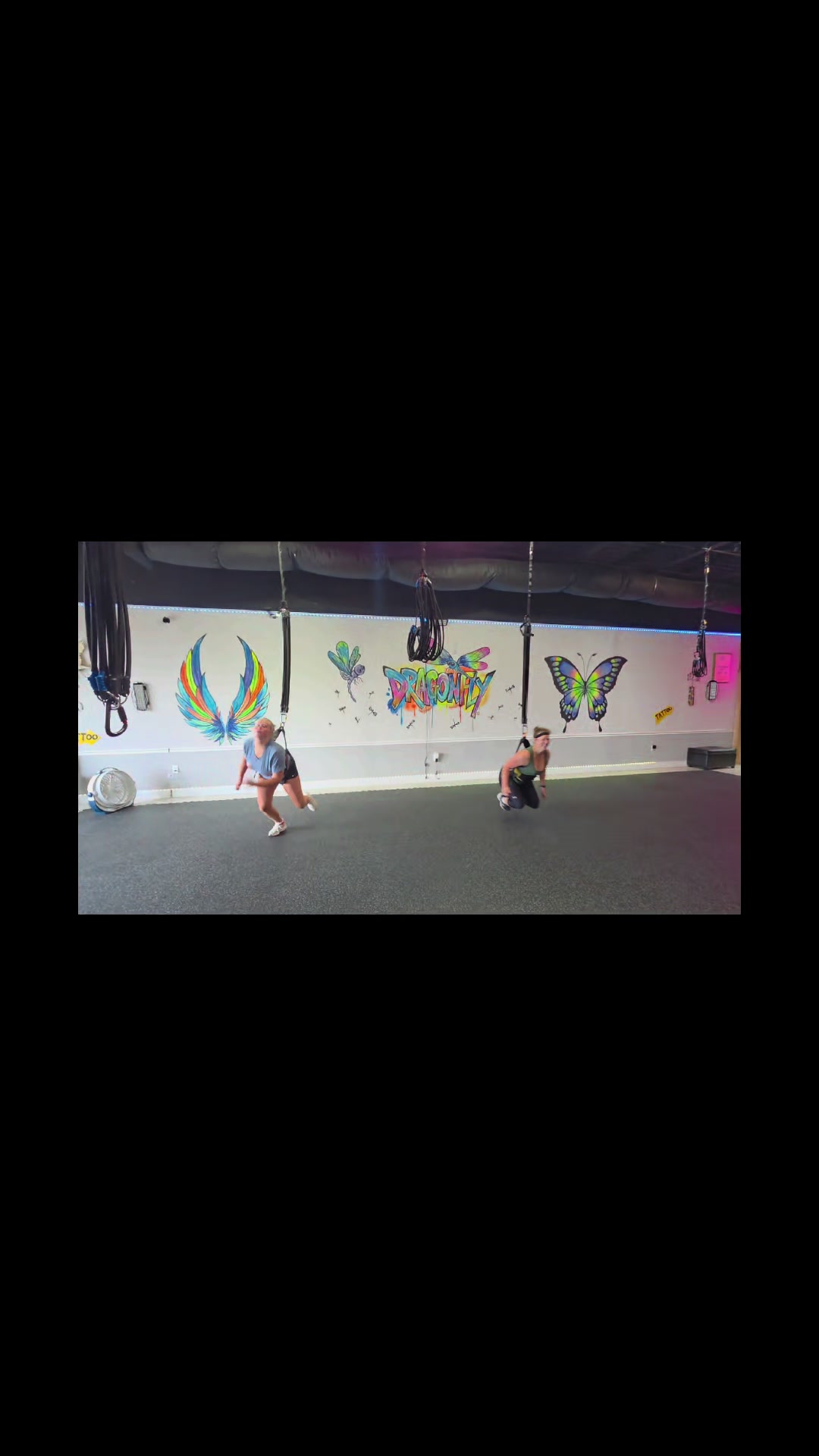 @Dragonfly Bungee