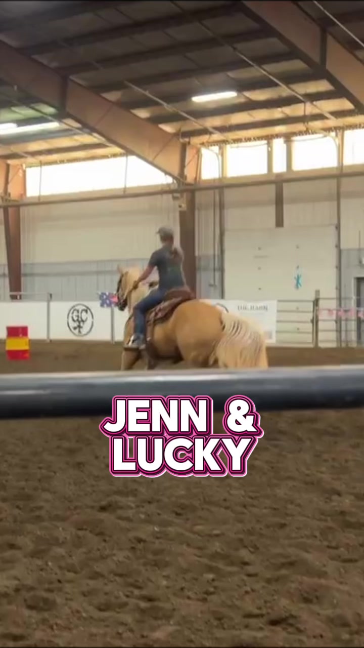 @Supercharge Performance Horses