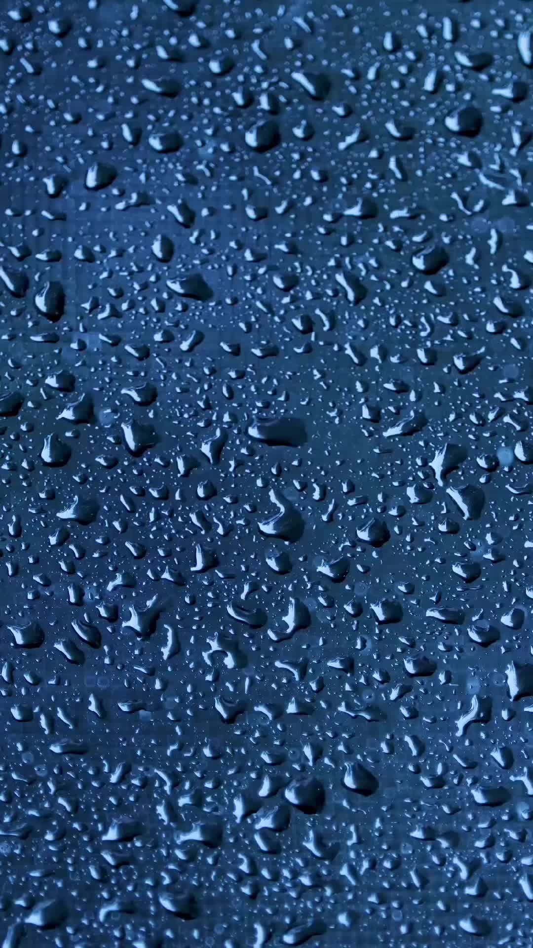 @Vibesss &bull; 🎧