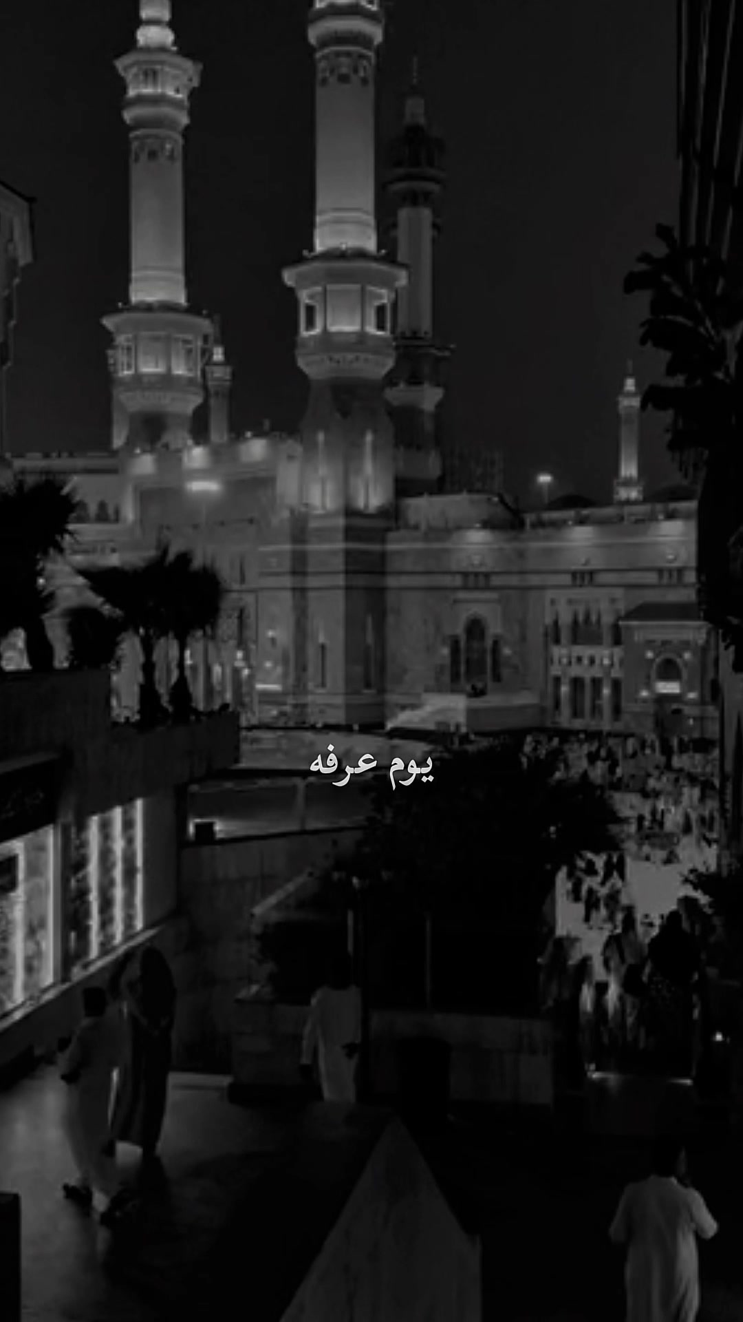 @علي الحسن