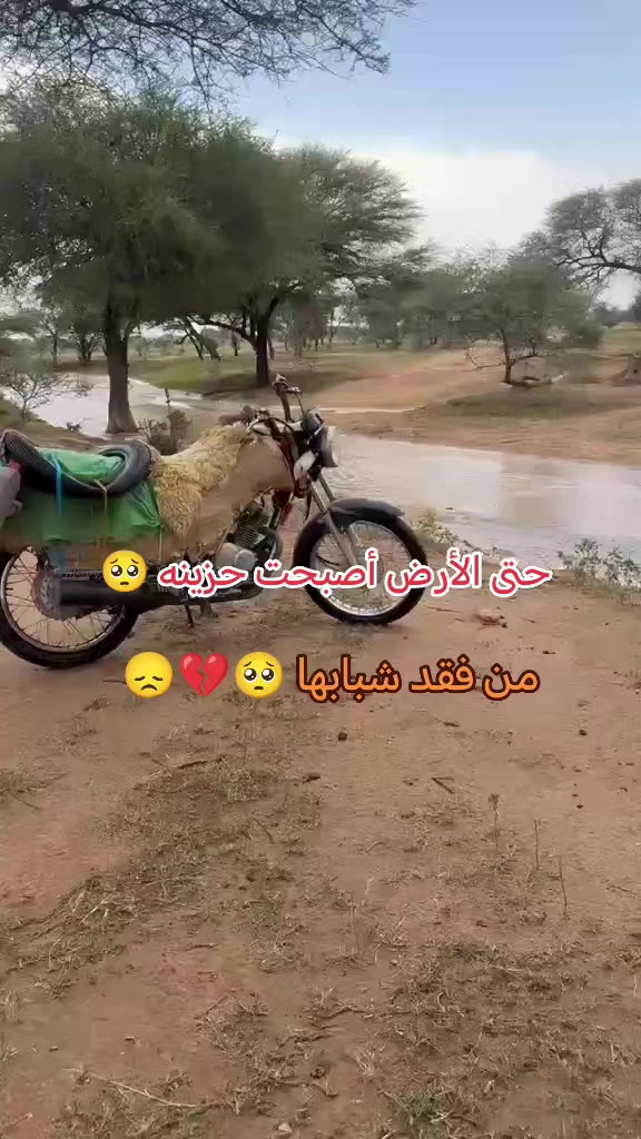@جنجويدي✌️
