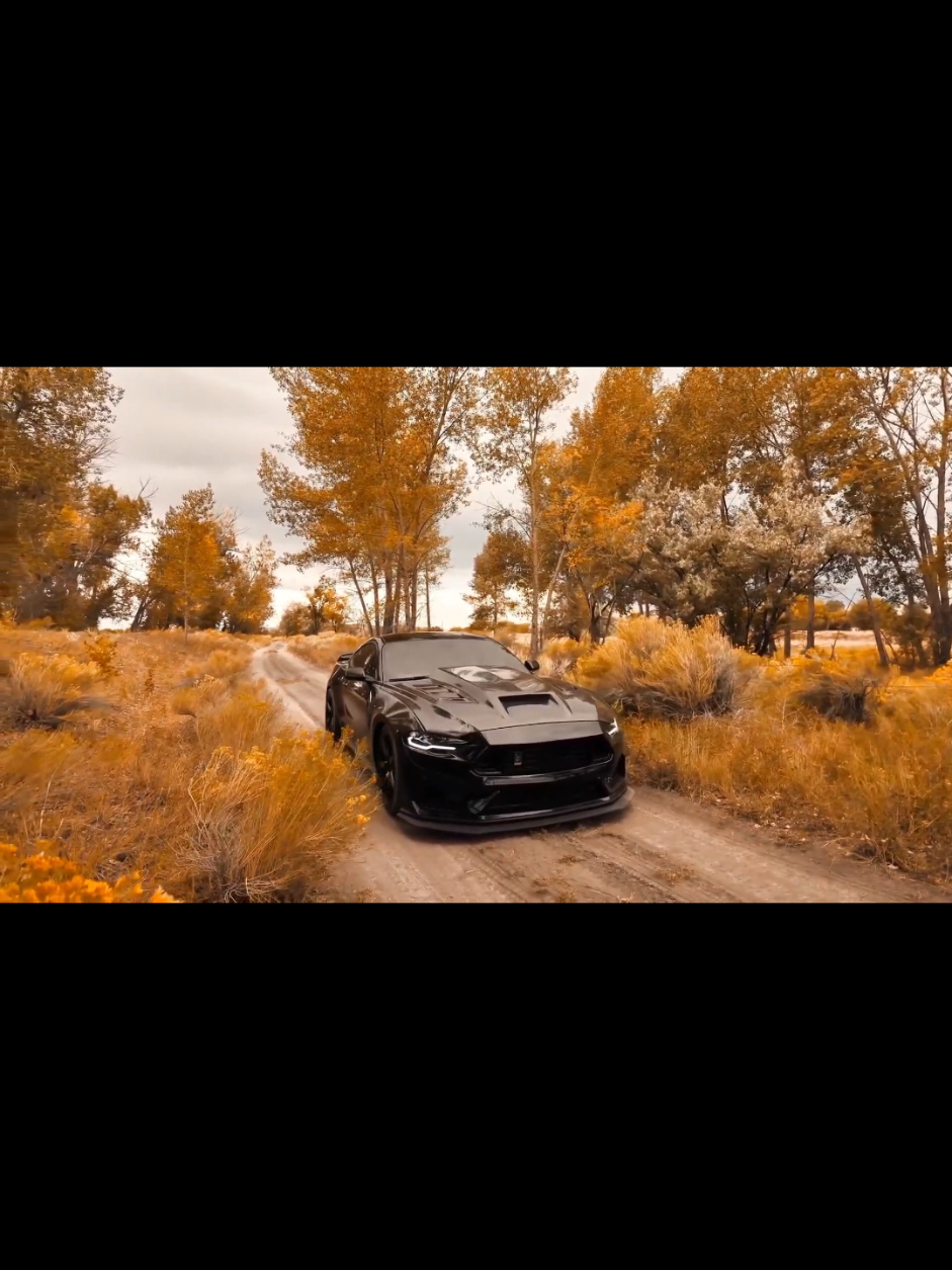 @Naillali_Karizma