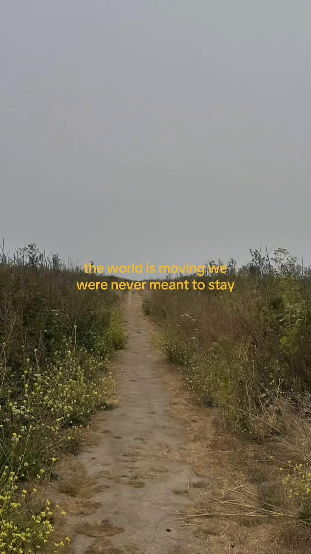 @haj
