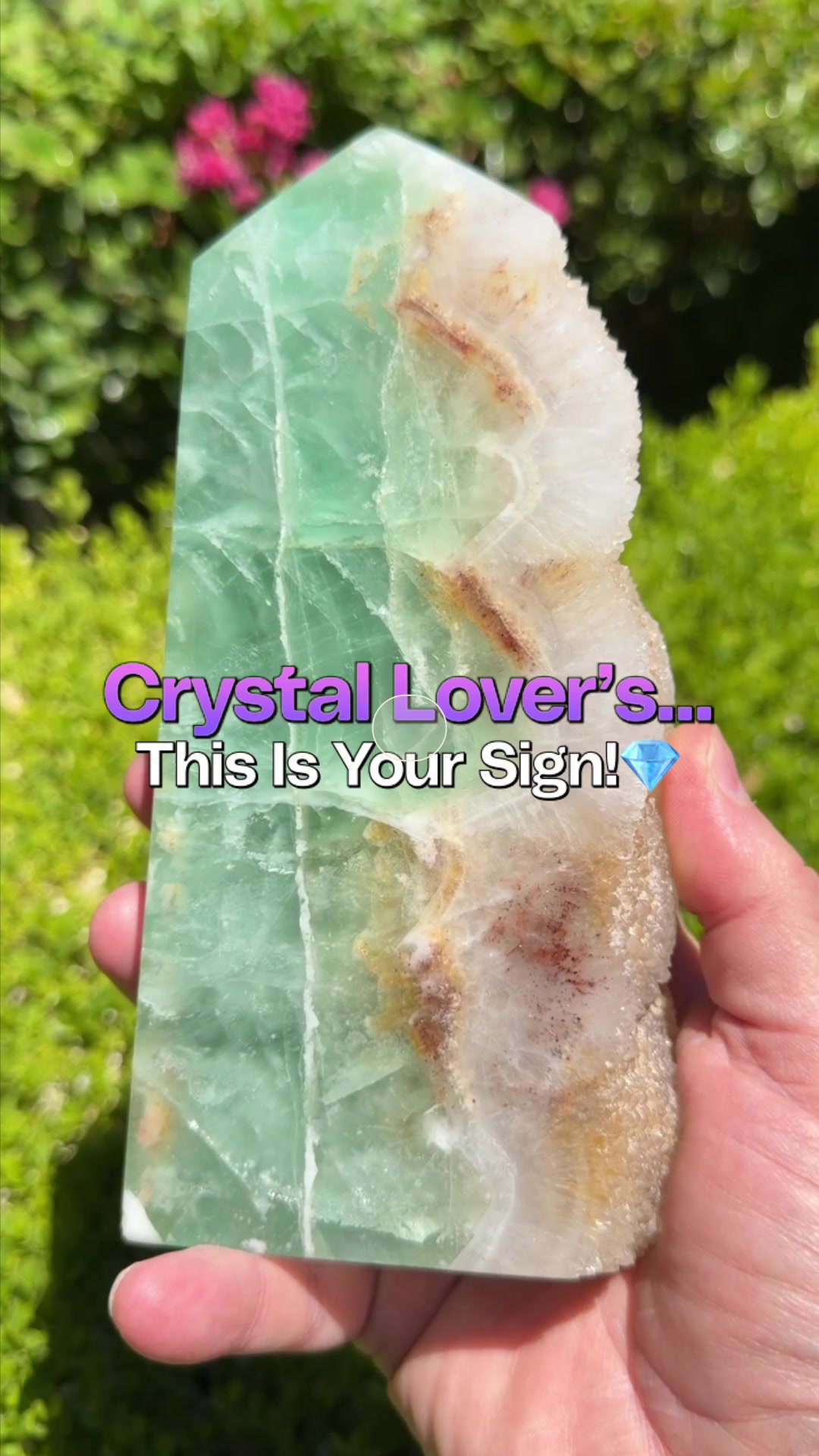 @The Crystal Vortex