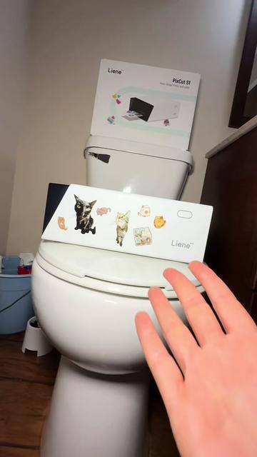 @craftycatfinds