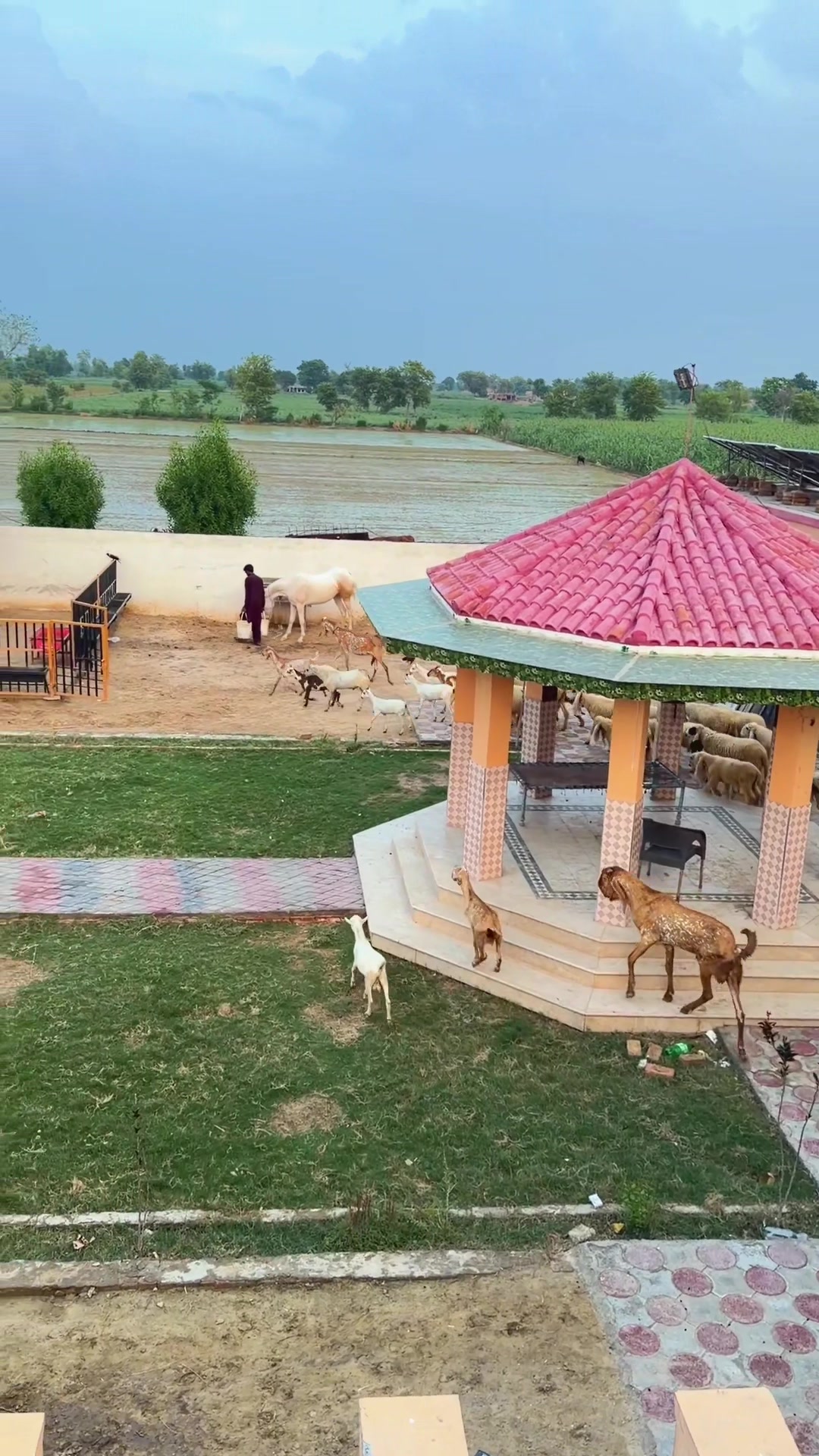 @Talha Ghouri
