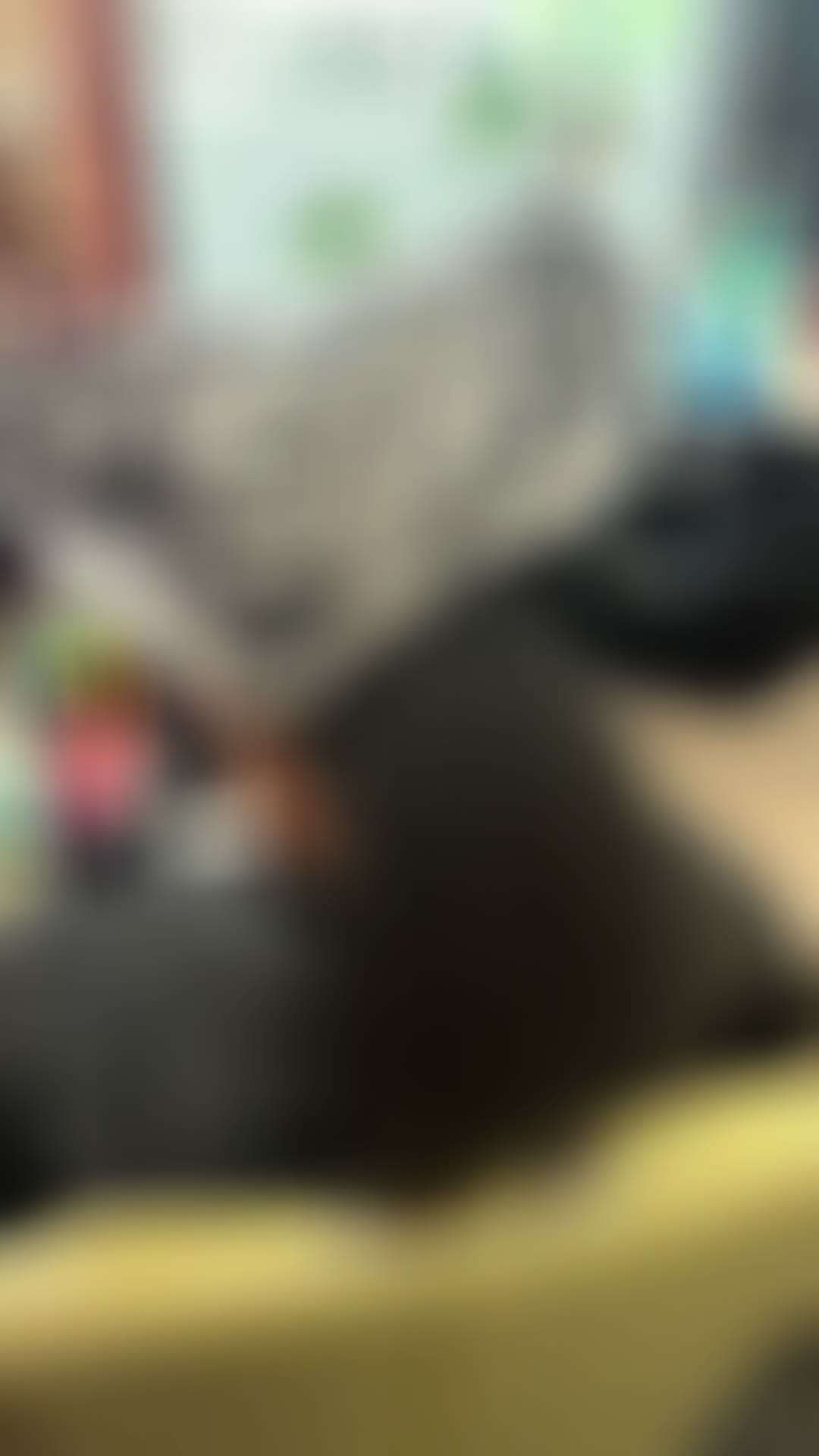 @Chevydoeshair