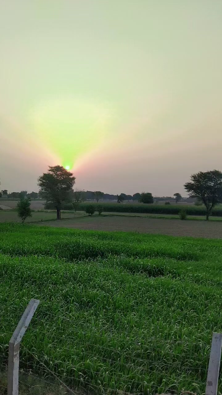 @JANJUA JUTT