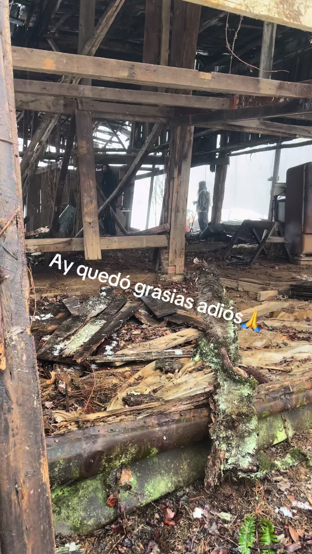 @Victor