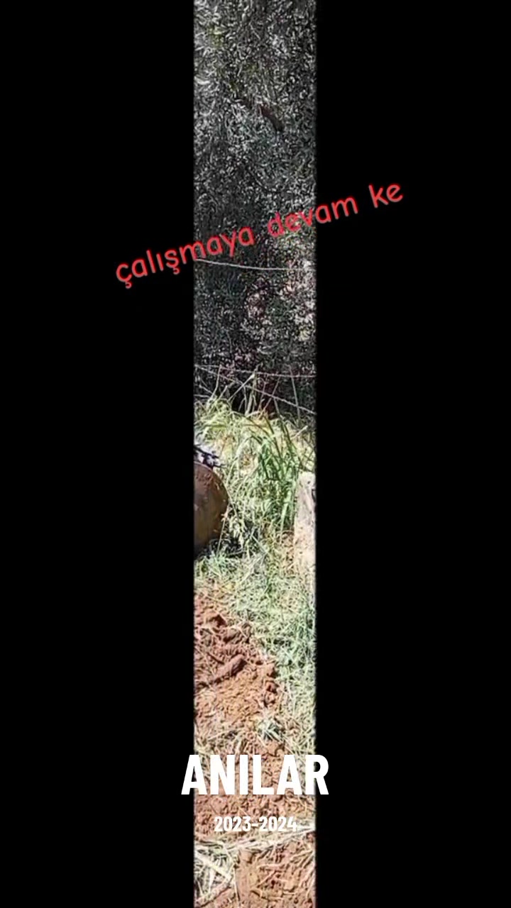 @karaman09