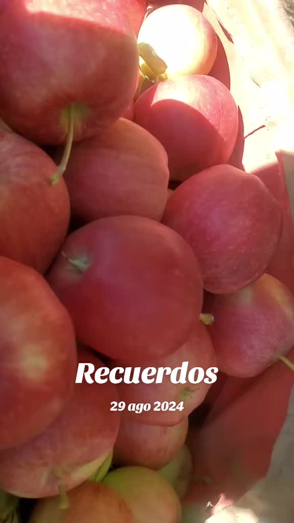 @Eloisa Aldama