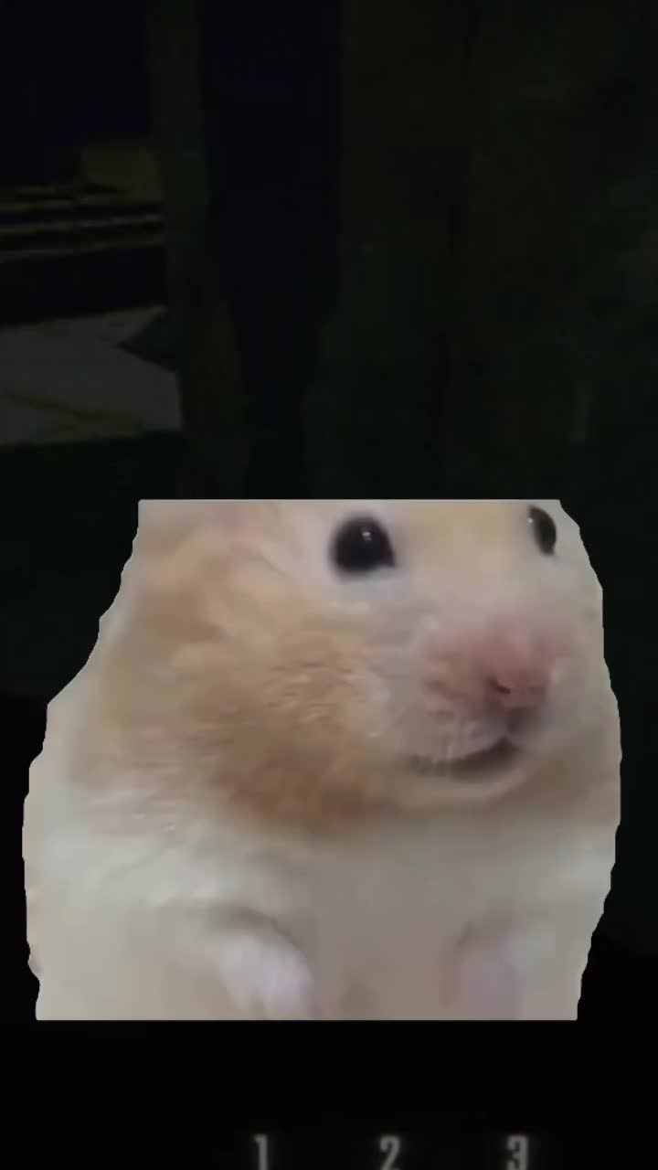 @YaniQuinnThe3rd