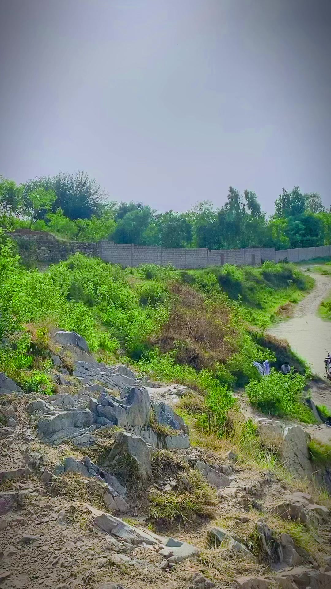 @Nasir Israr♥️