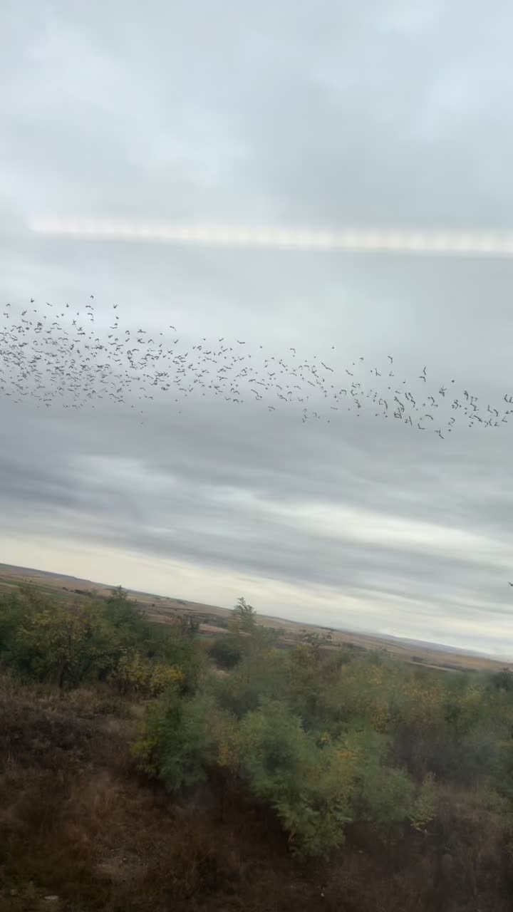 @777777