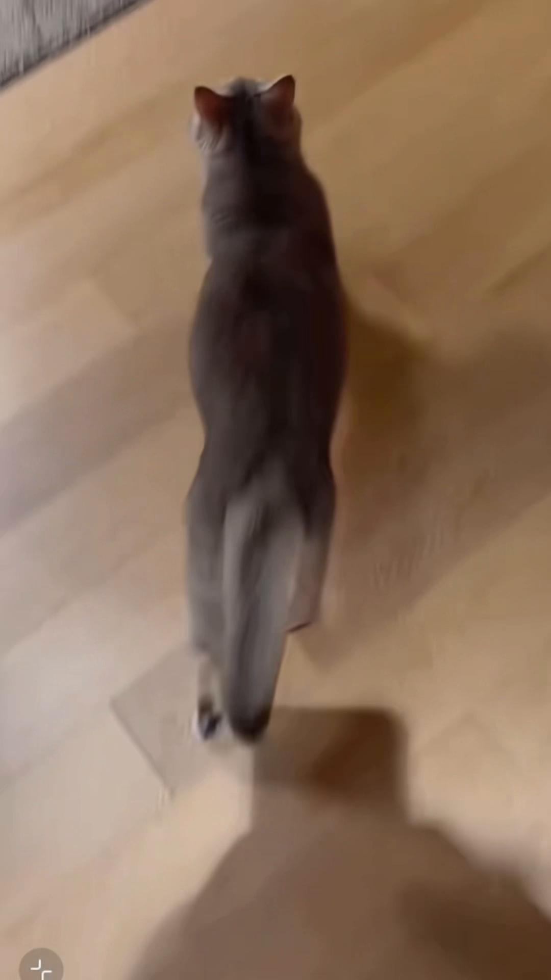 @My Daily Dose of Aww