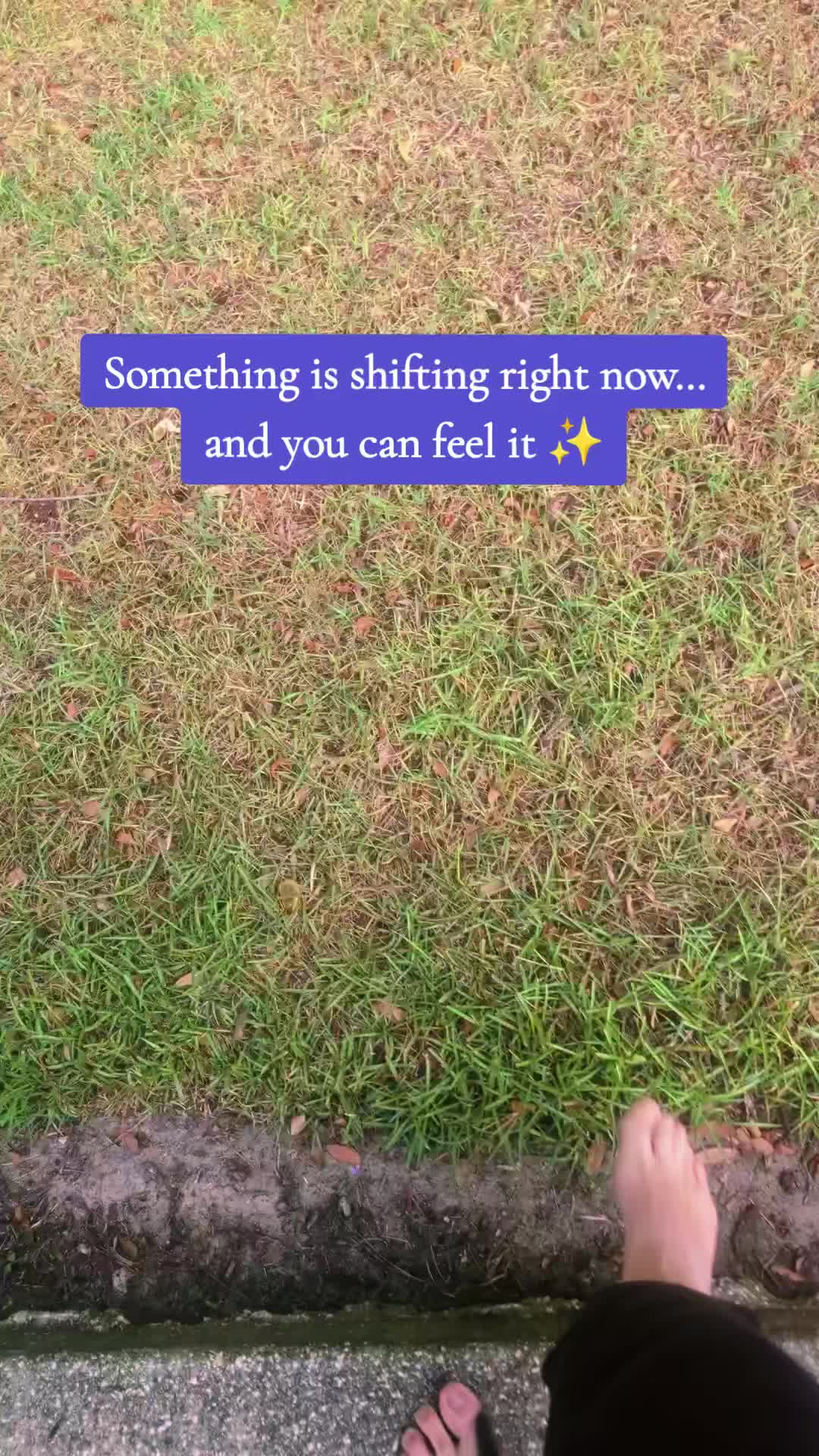 @Ami💜
