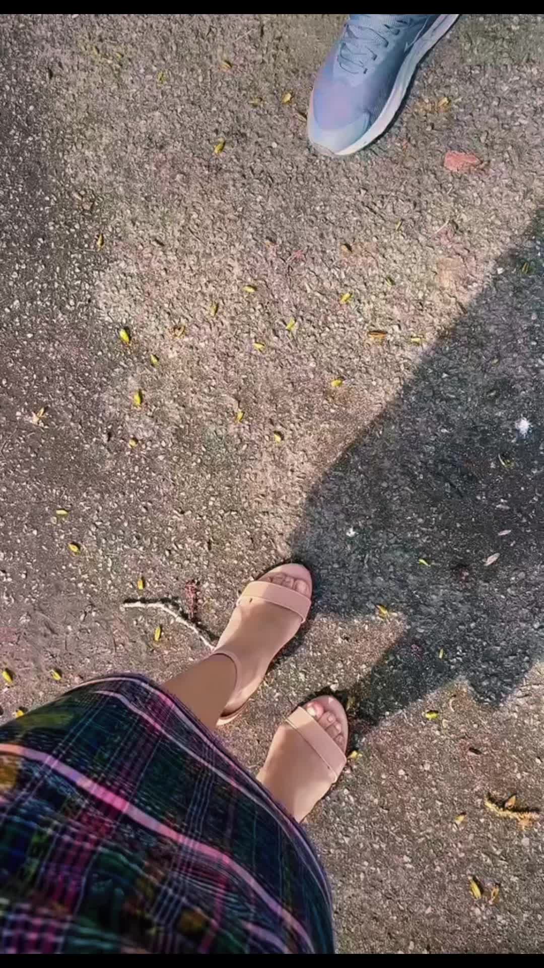 @🎶Músicas👑Cristianas🎶