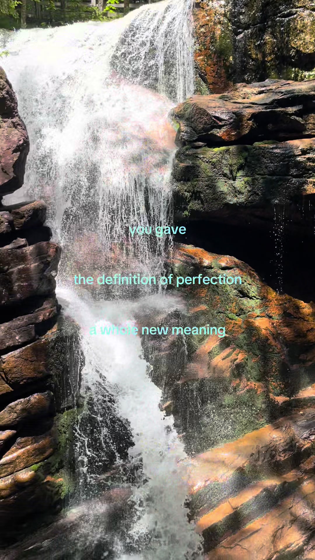 @🕊️