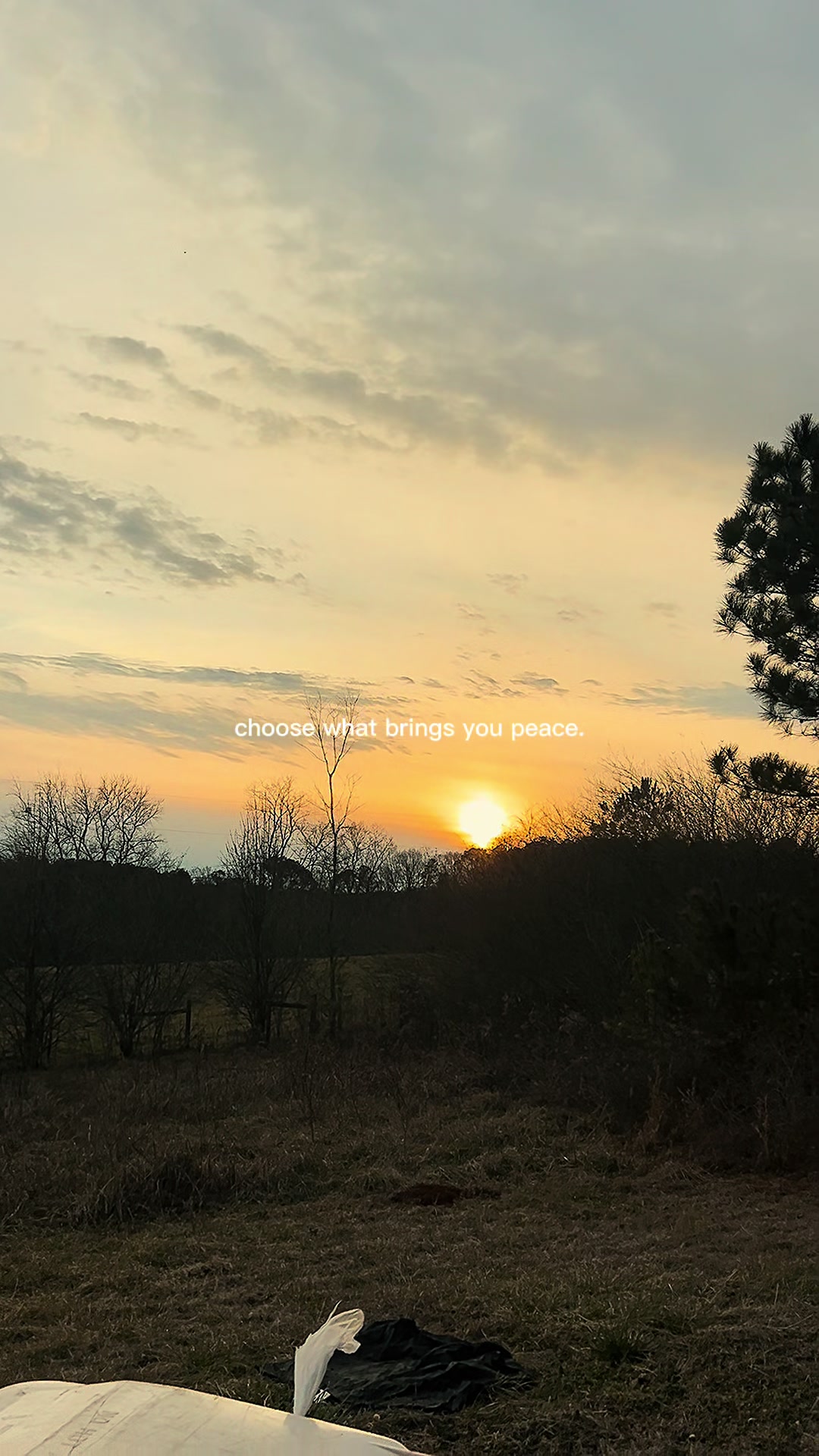 @Georgia♡