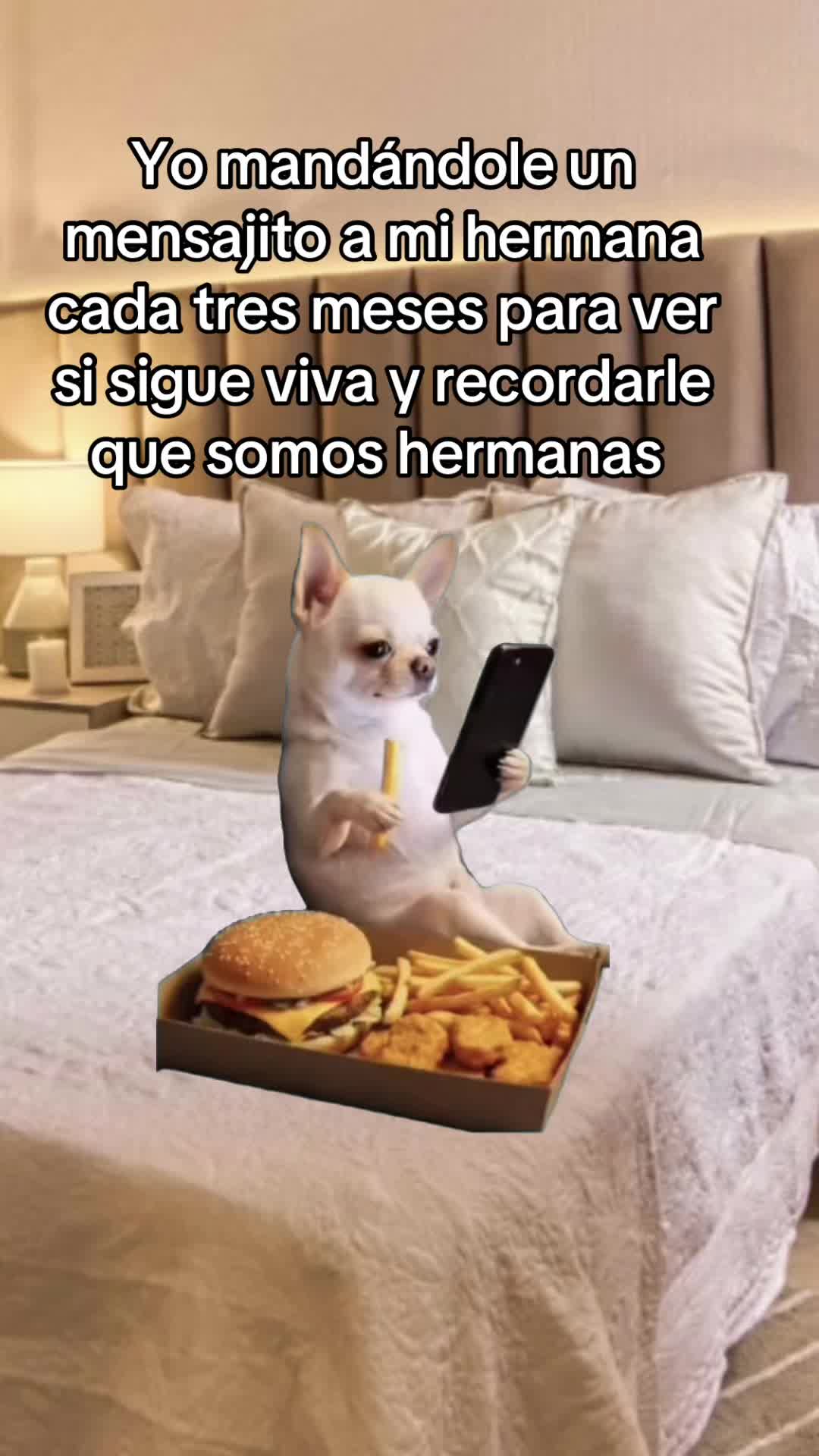 @MaigualidaReyes