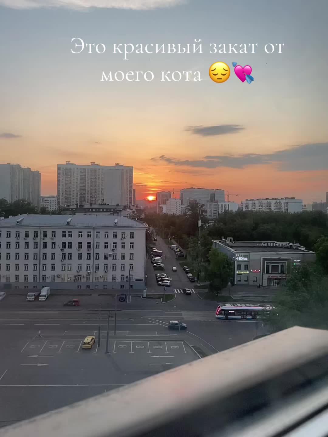 @Милова⚜️