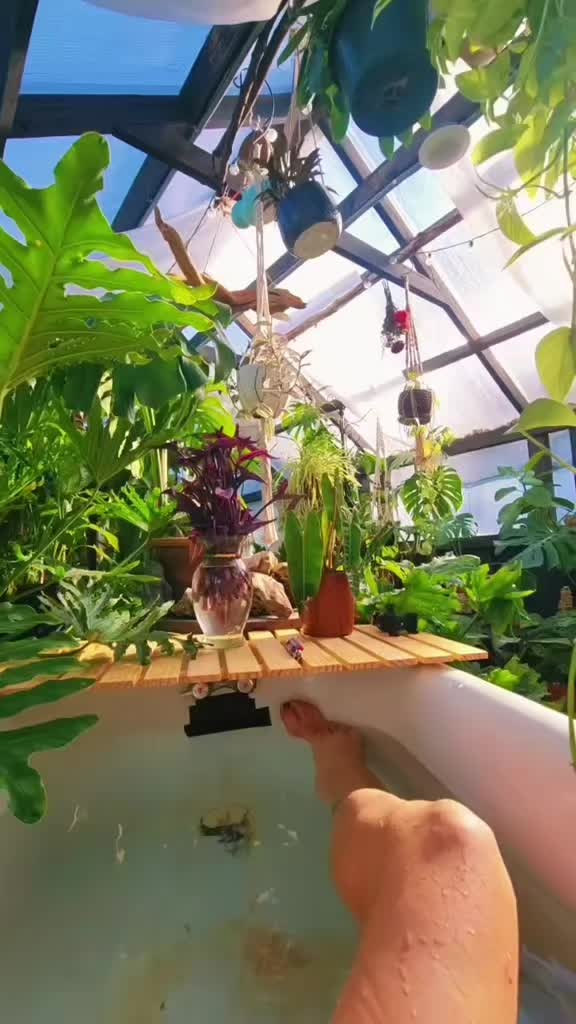 @plantymama🍄🪴💚
