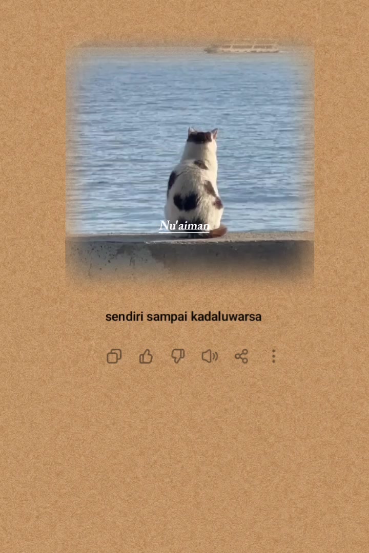 @Nu'Aiman