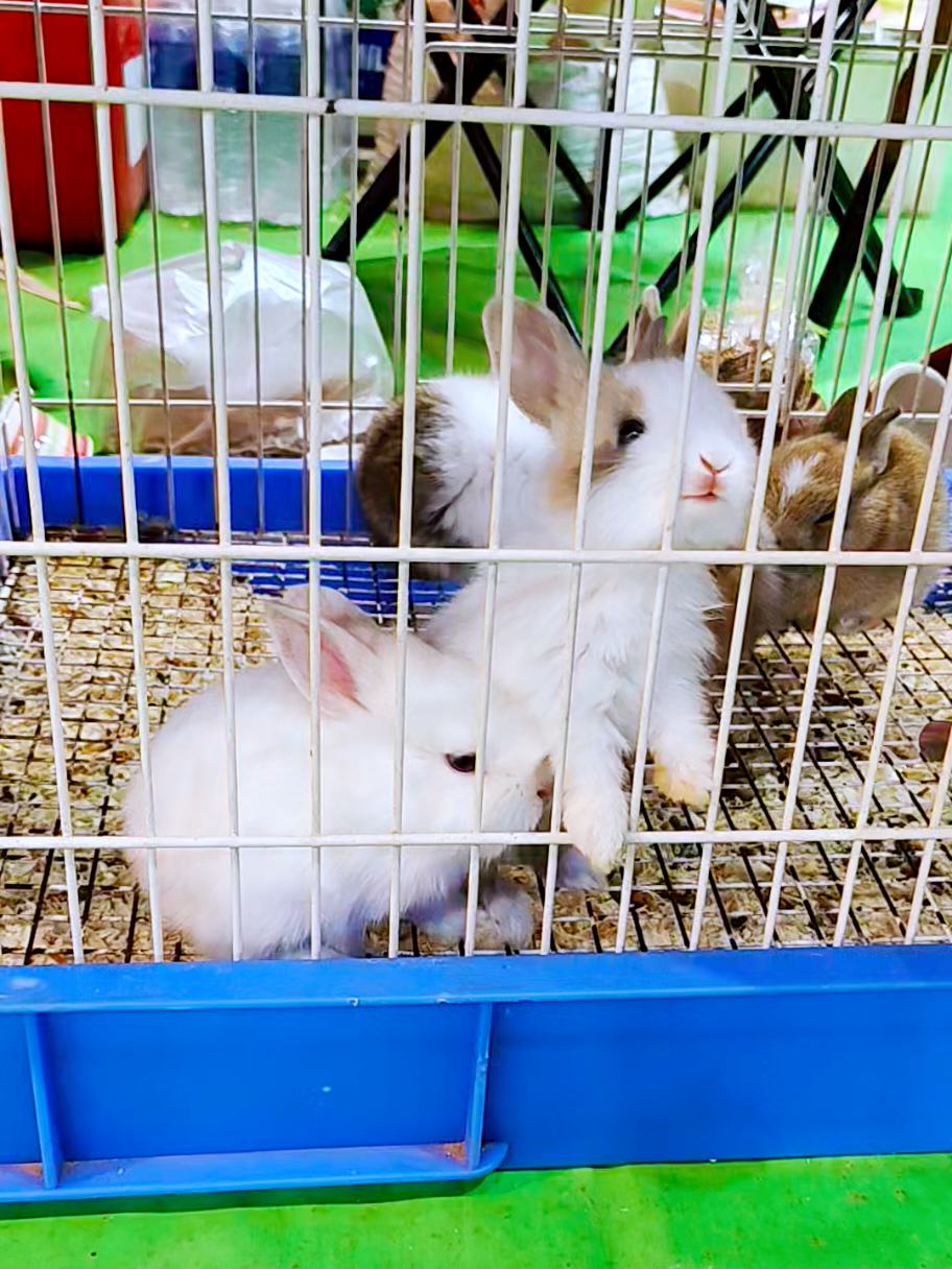 @ครูหนุ่ย