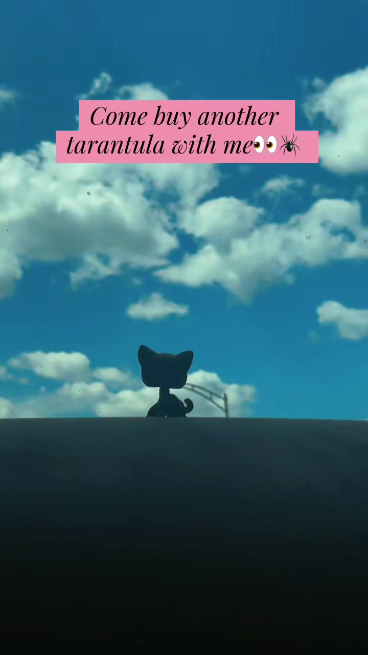@🖤Littlest_Weird0🖤