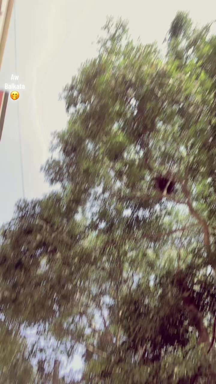 @𓂀 𝕂𝔸𝕊ℍ𝕄𝕀ℝ𝕐 𝔹ℝ𝔸ℕ𝔻 𓂀