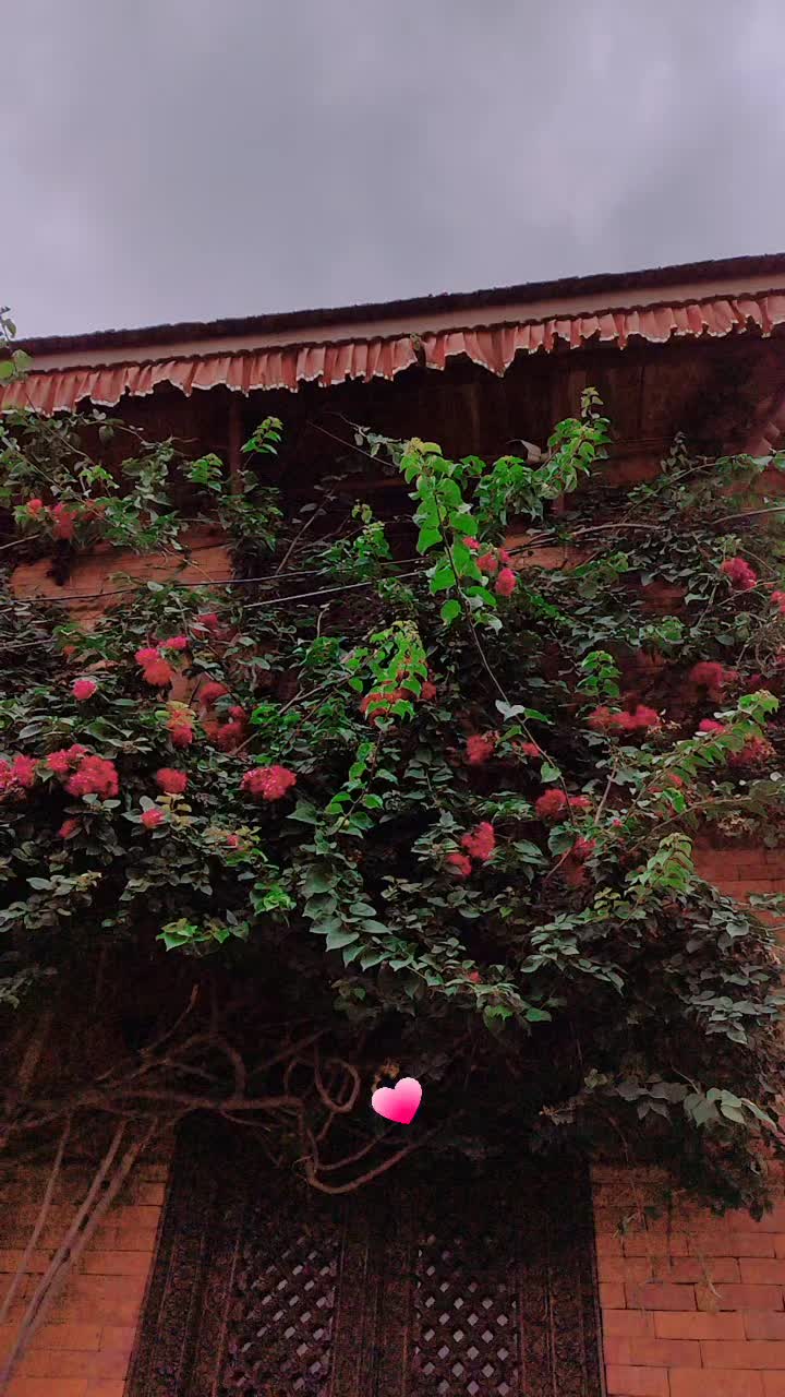 @~♥~٩𝑲𝐚ʝᾰไ۶~♥~